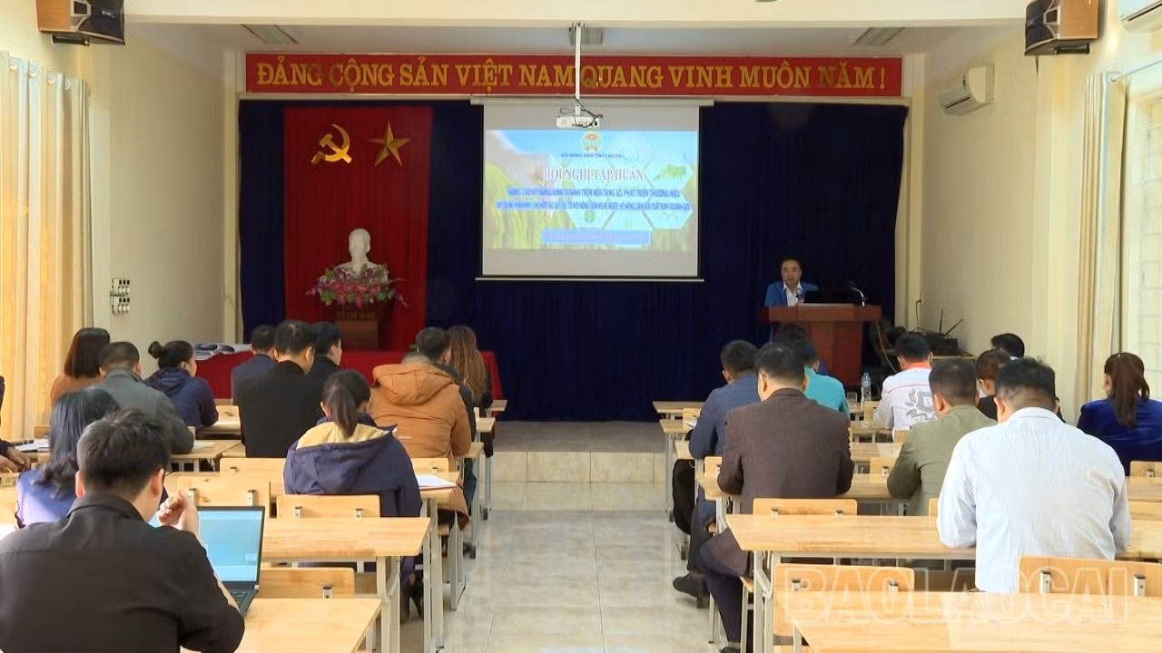 hội nông dân tỉnh.jpg