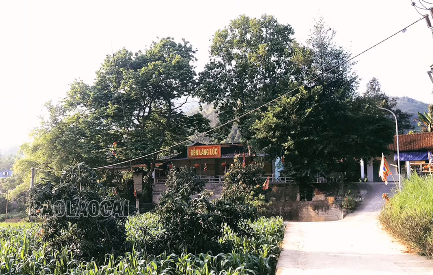 lang-luc-1.jpg