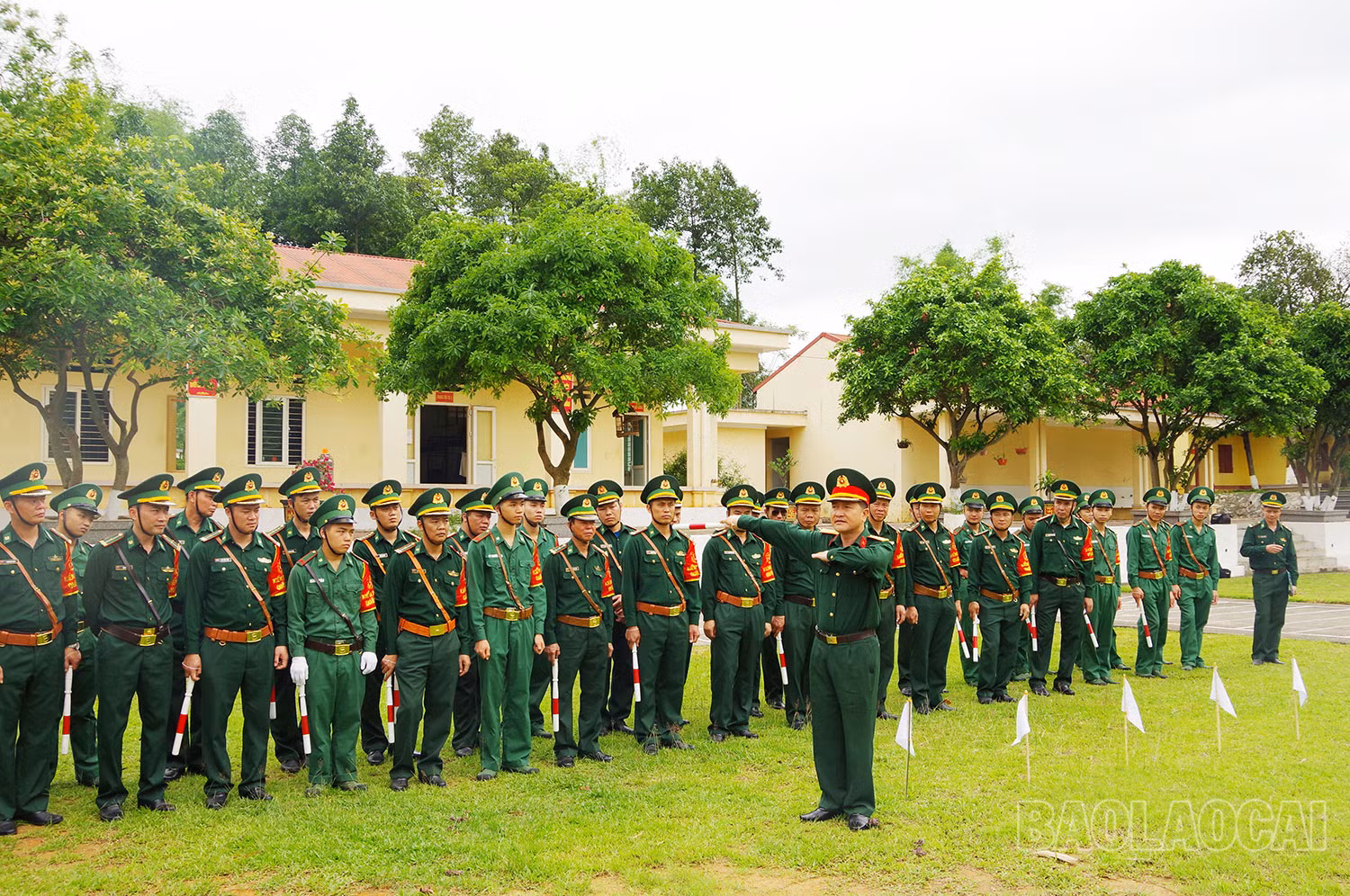 ks11.jpg