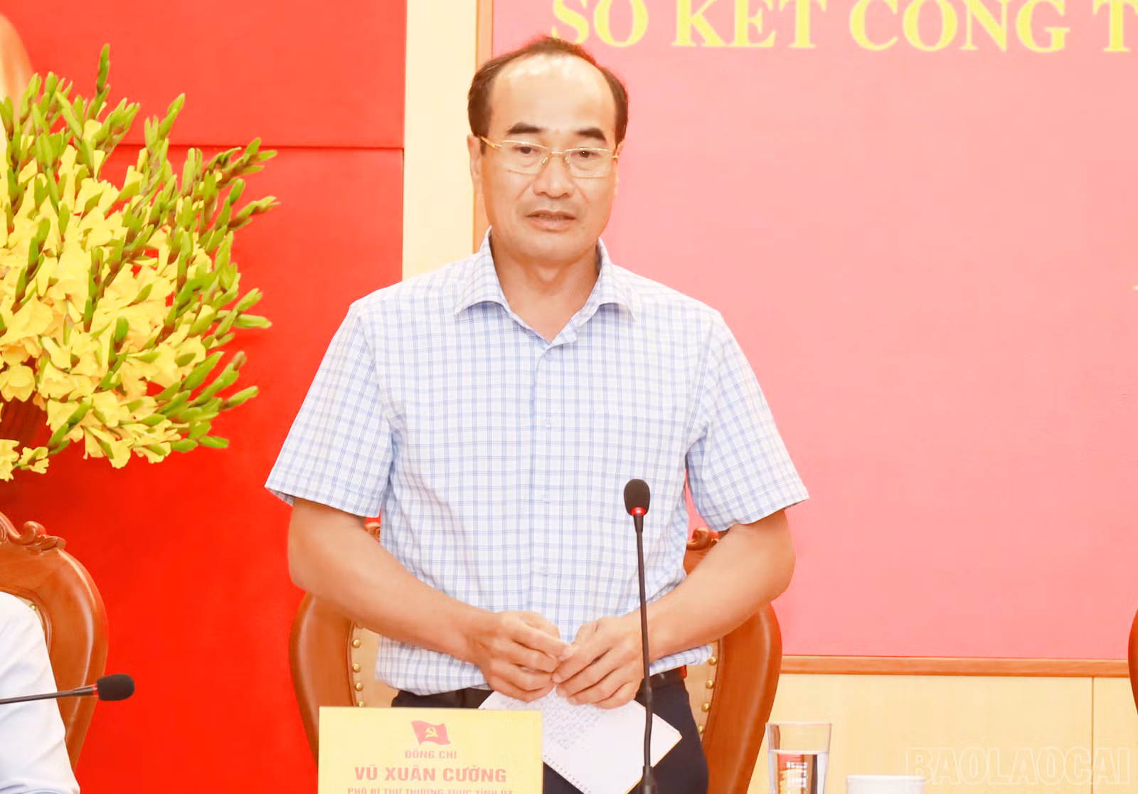 baolaocai_HH7.jpg