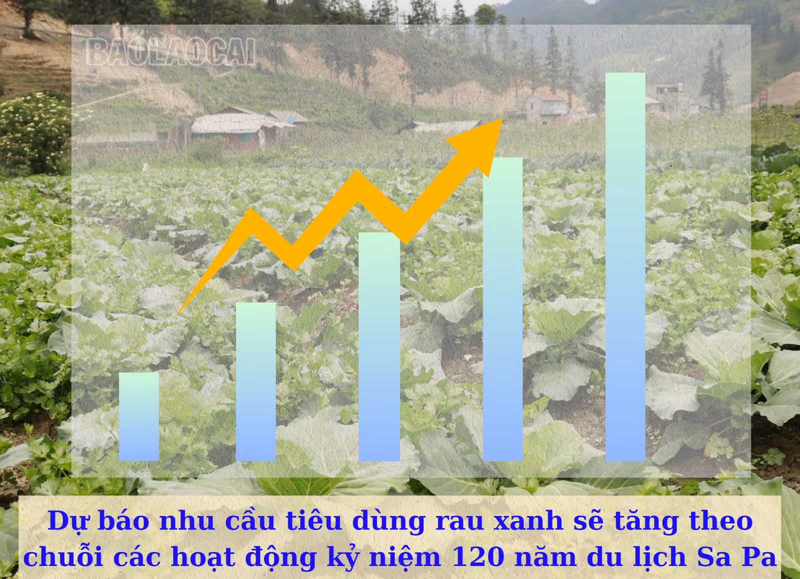 Rauxanh1.jpg