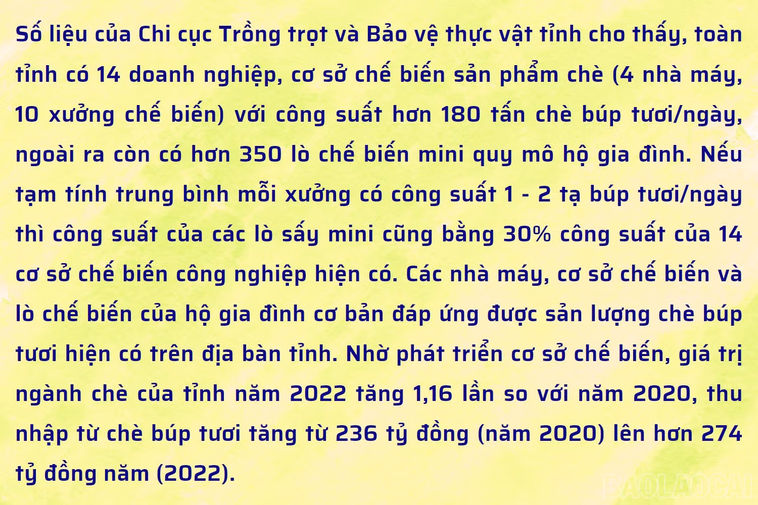 baolaocai_chebien3.jpg