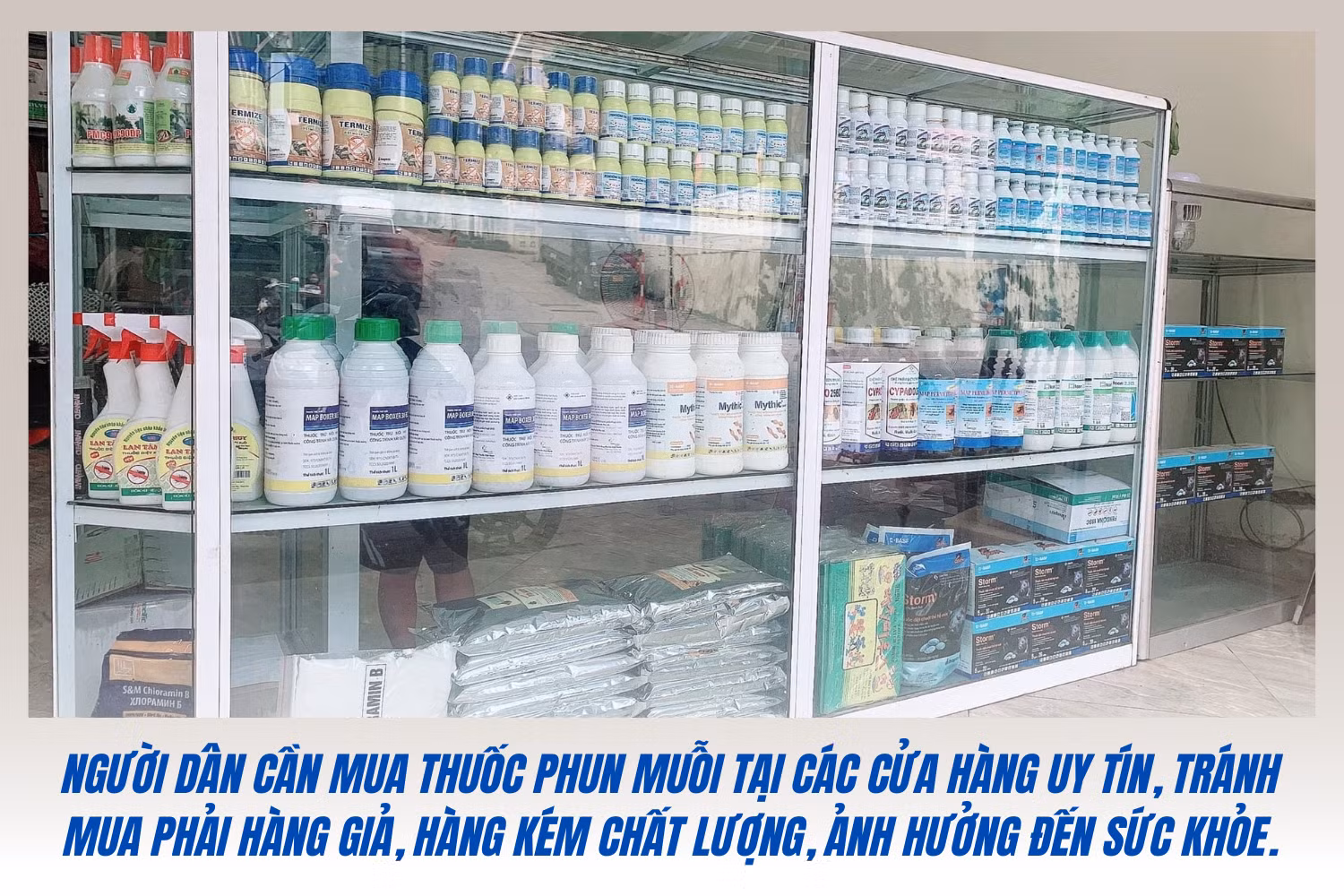 Bản sao của hỗ trợ phụ nữ dân tộc thiểu số.png