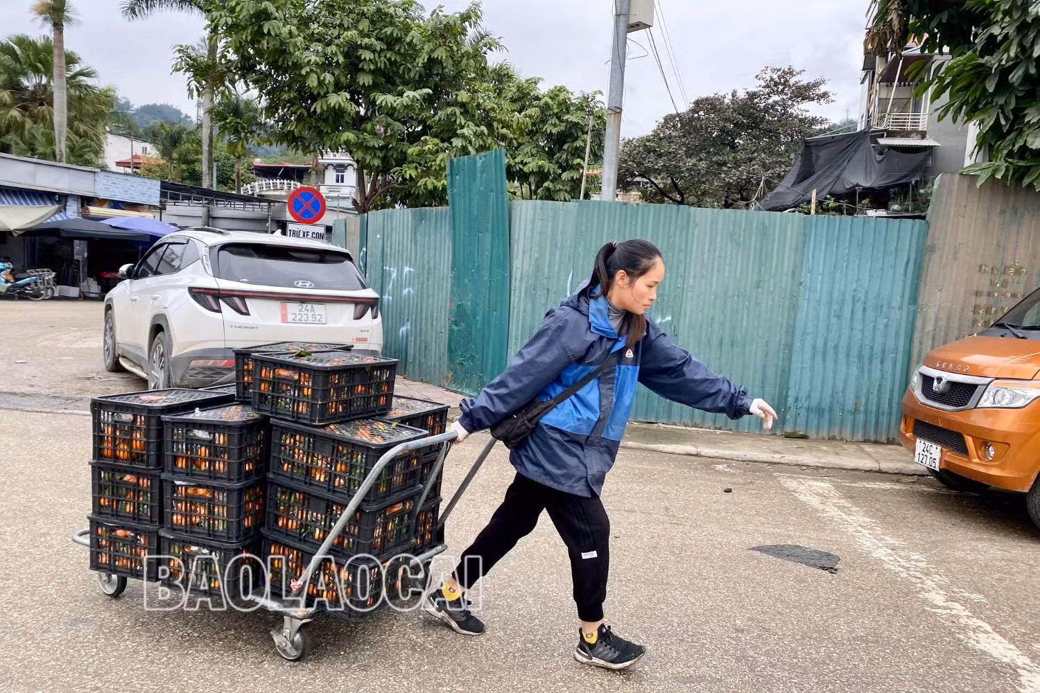 Thiết kế chưa có tên - 7 (1).jpg