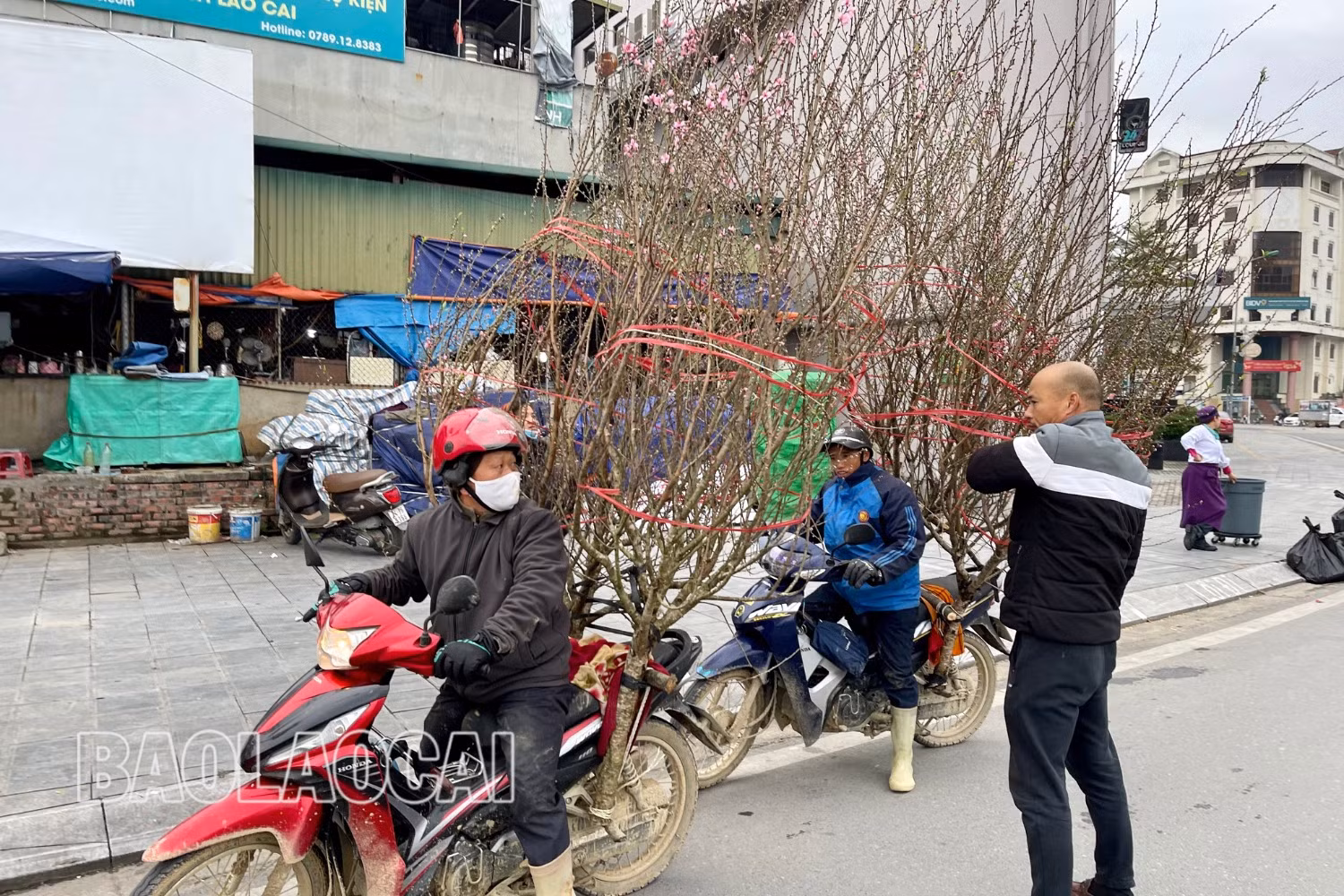 Thiết kế chưa có tên - 5 (2).jpg