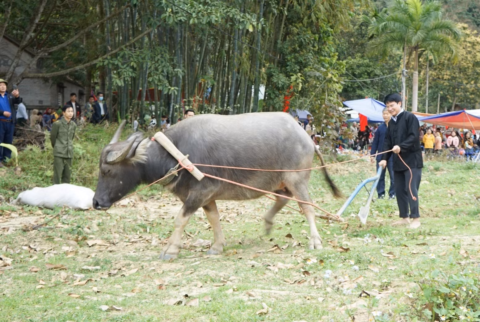 Trung Đô 2.jpg