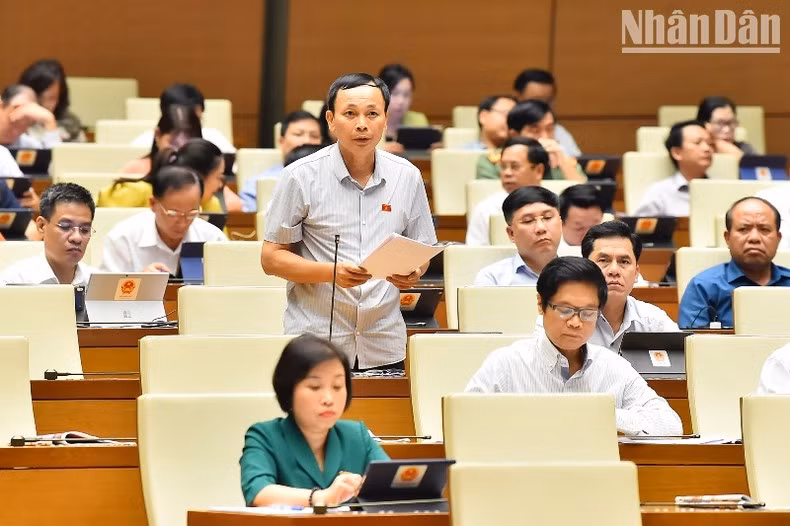 Đại biểu Hoàng Hữu Chiến (An Giang) phát biểu.