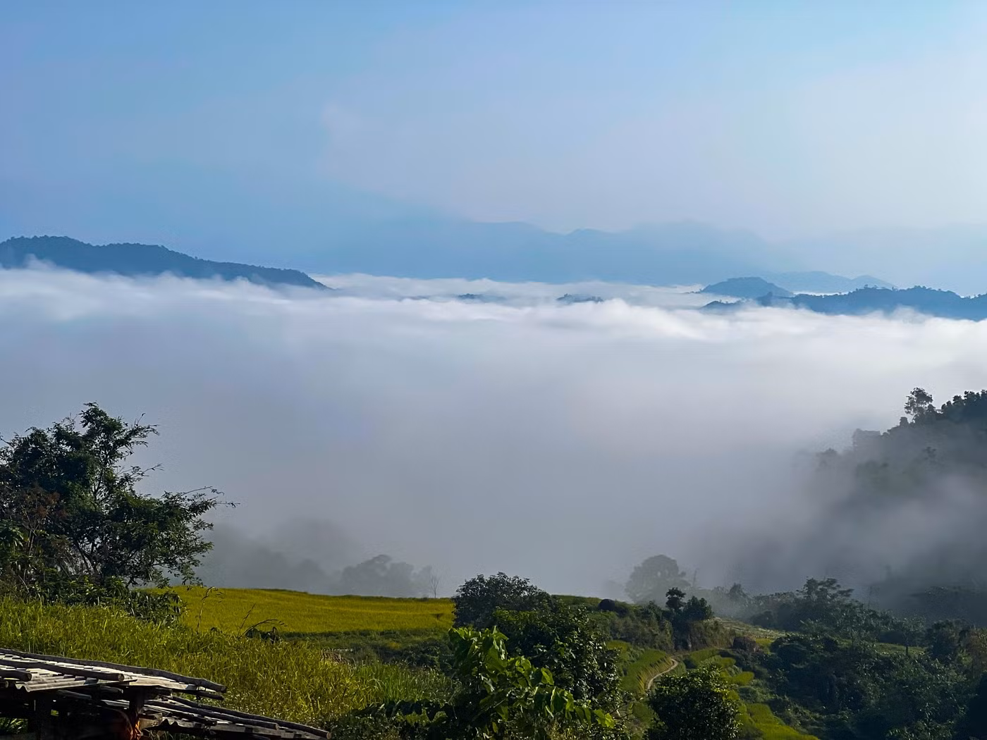 Ở bất cứ điểm nào trên đồng ruộng, nhất là vào buổi sáng, đều khiến du khách cảm nhận như đang đứng giữa biển mây.