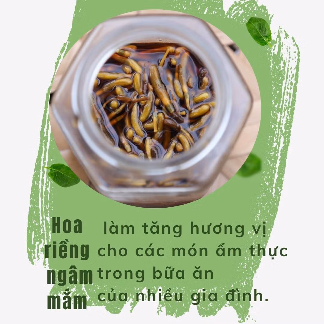 Hoa rieenfg.jpg