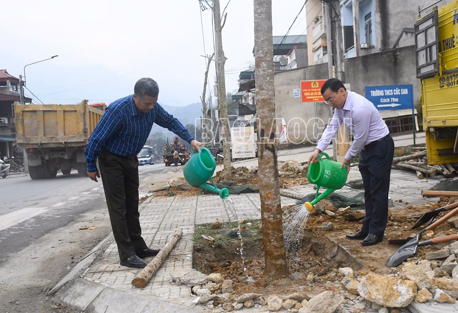Các đại biểu trồng cây phượng vĩ tại khu vực trung tâm xã Cốc San, thành phố Lào Cai.