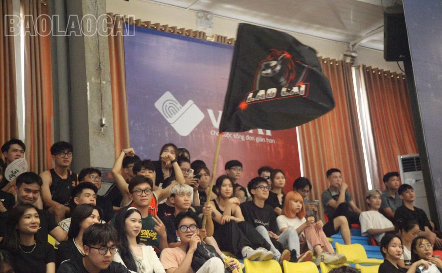 3b.jpg