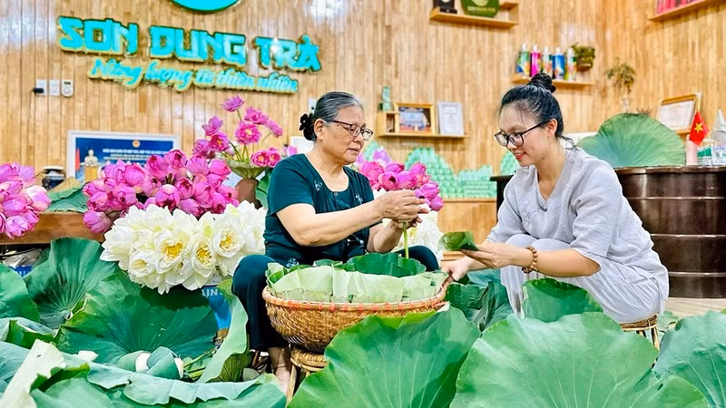 Sản xuất trà sen tại Hợp tác xã trà Sơn Dung (tỉnh Thái Nguyên).