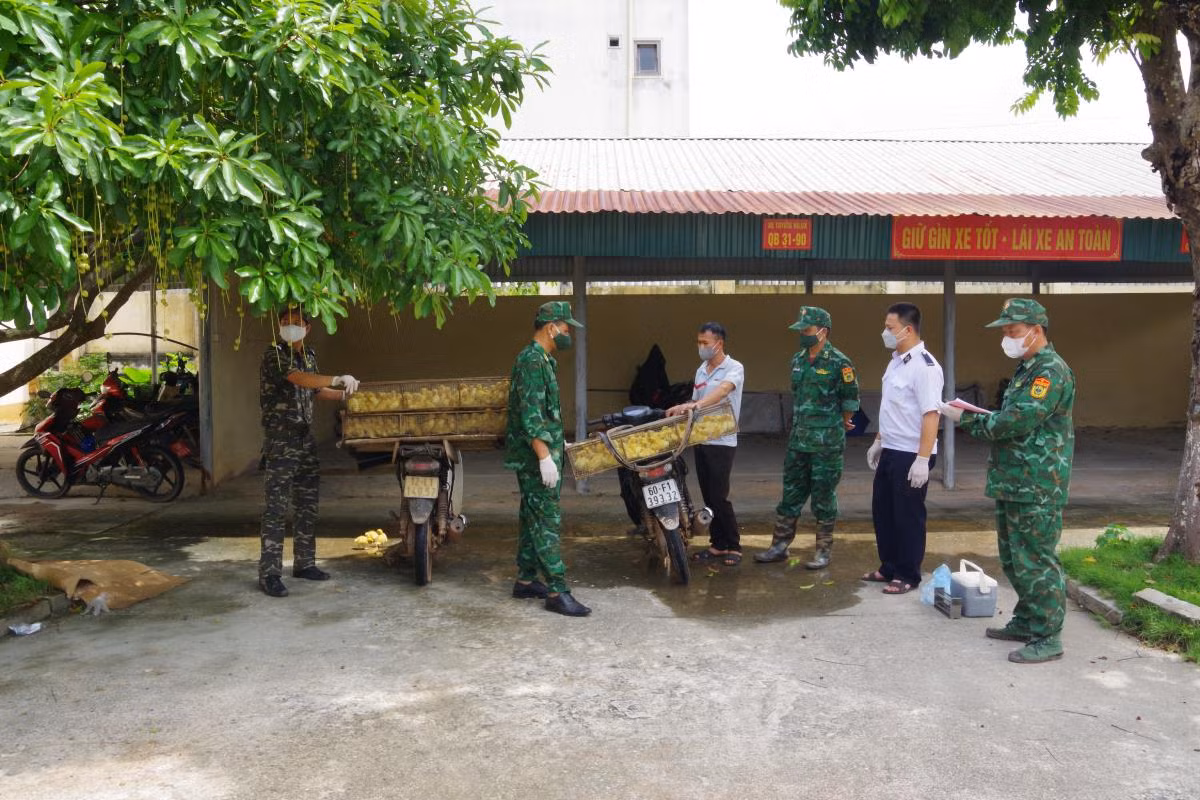 Đồn Biên phòng cửa khẩu Chi Ma, BĐBP Lạng Sơn bắt giữ con giống gia cầm nhập lậu.