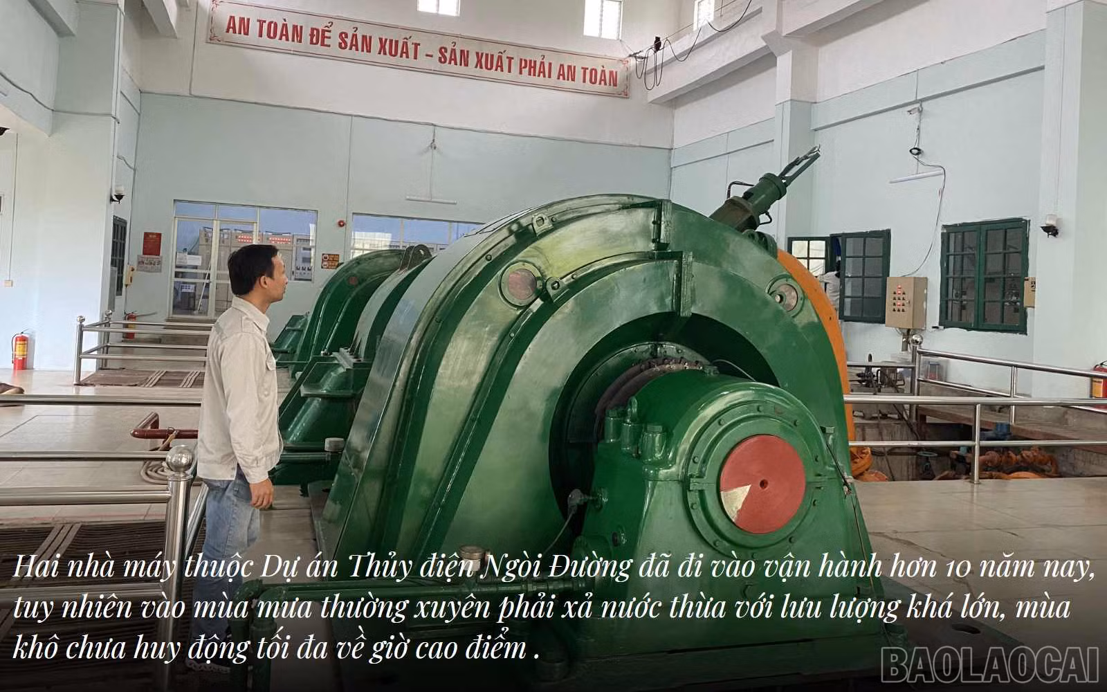 baolaocai_2td.jpg