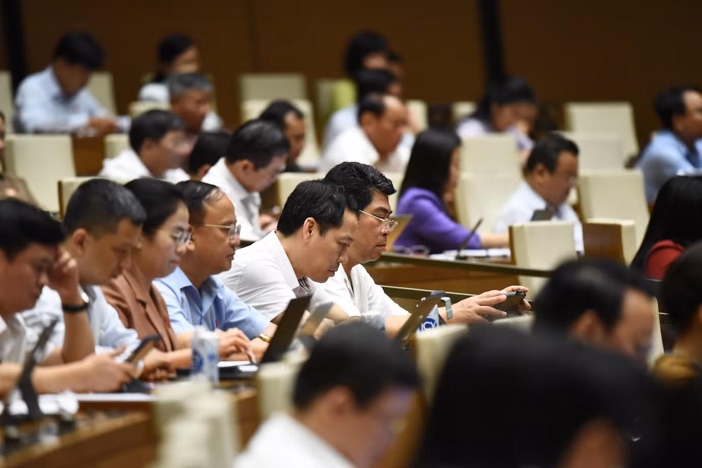 Các đại biểu dự Phiên họp.