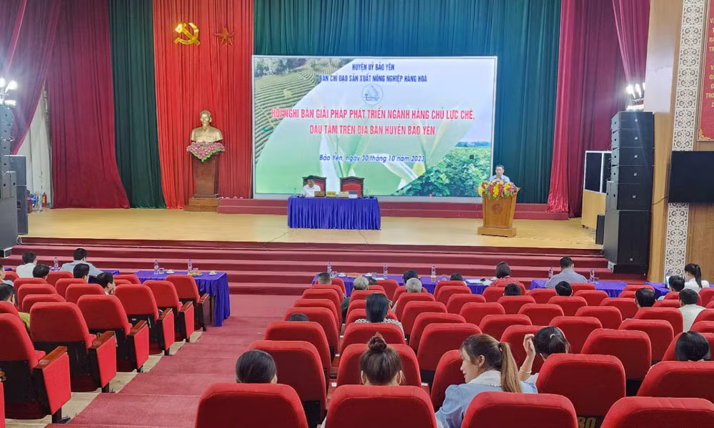 Quang cảnh hội nghị.jpg