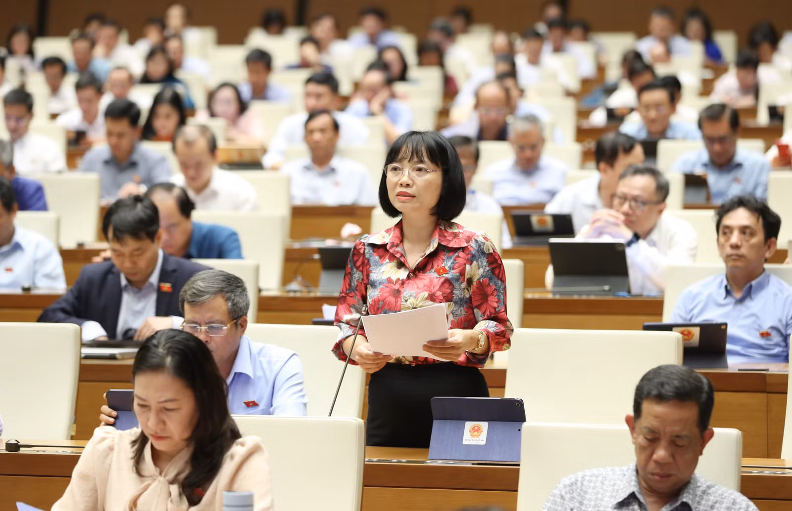 ĐB Nguyễn Thị Việt Nga đồng tình mở rộng phạm vi, đối tượng miễn thuế.