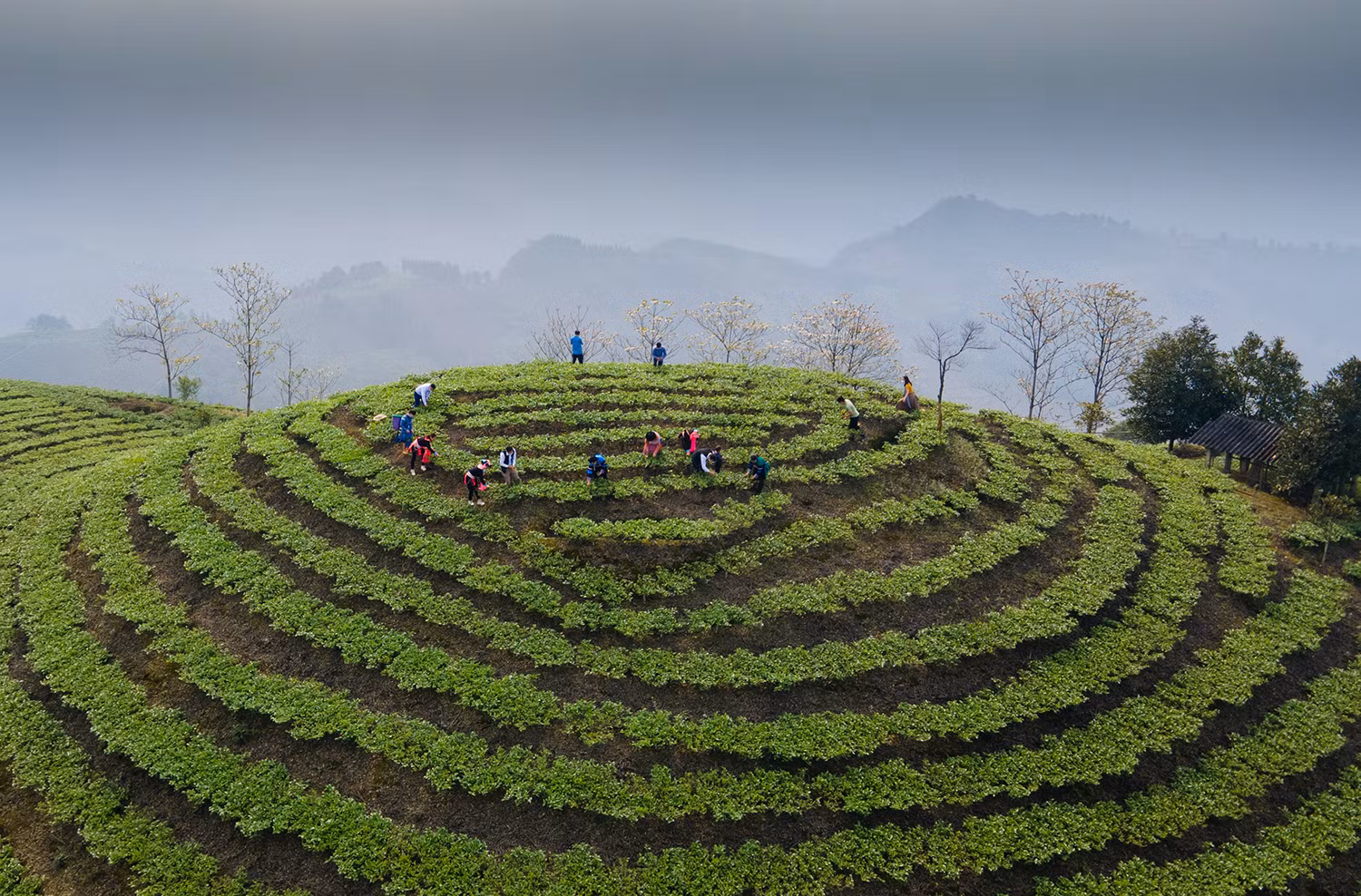 DJI_0794.jpg