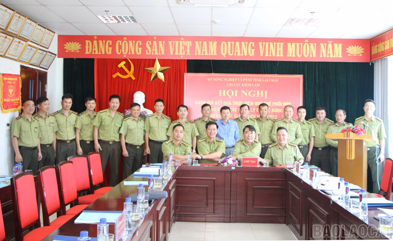 baolaocai_1.jpg