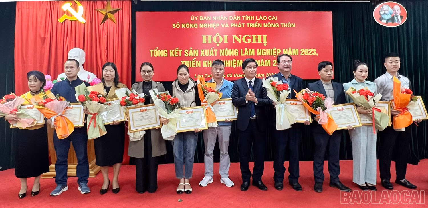baolaocai-8jpg-8267.jpg