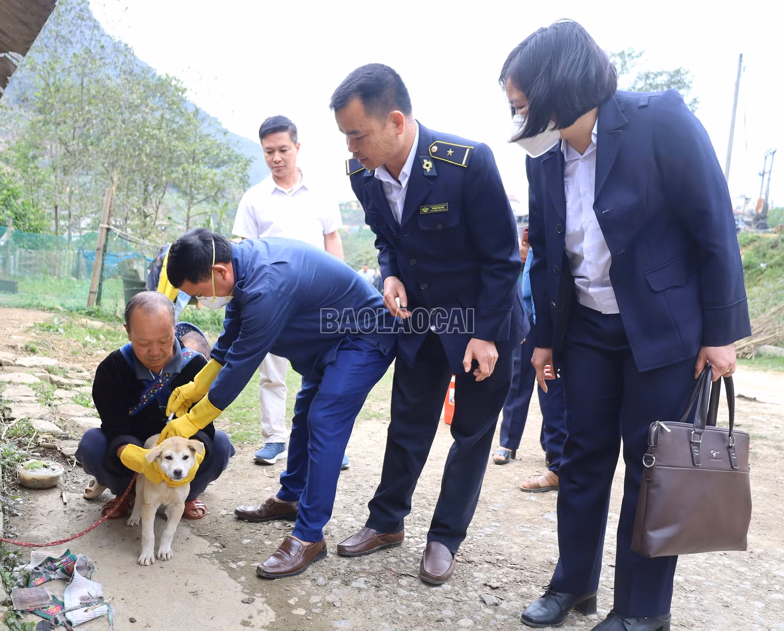 Cán bộ thú y huyện Si Ma Cai tổ chức tiêm phòng vắc-xin dại cho chó..jpg