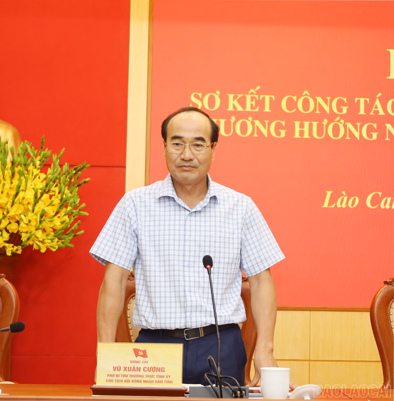 baolaocai_11.jpg