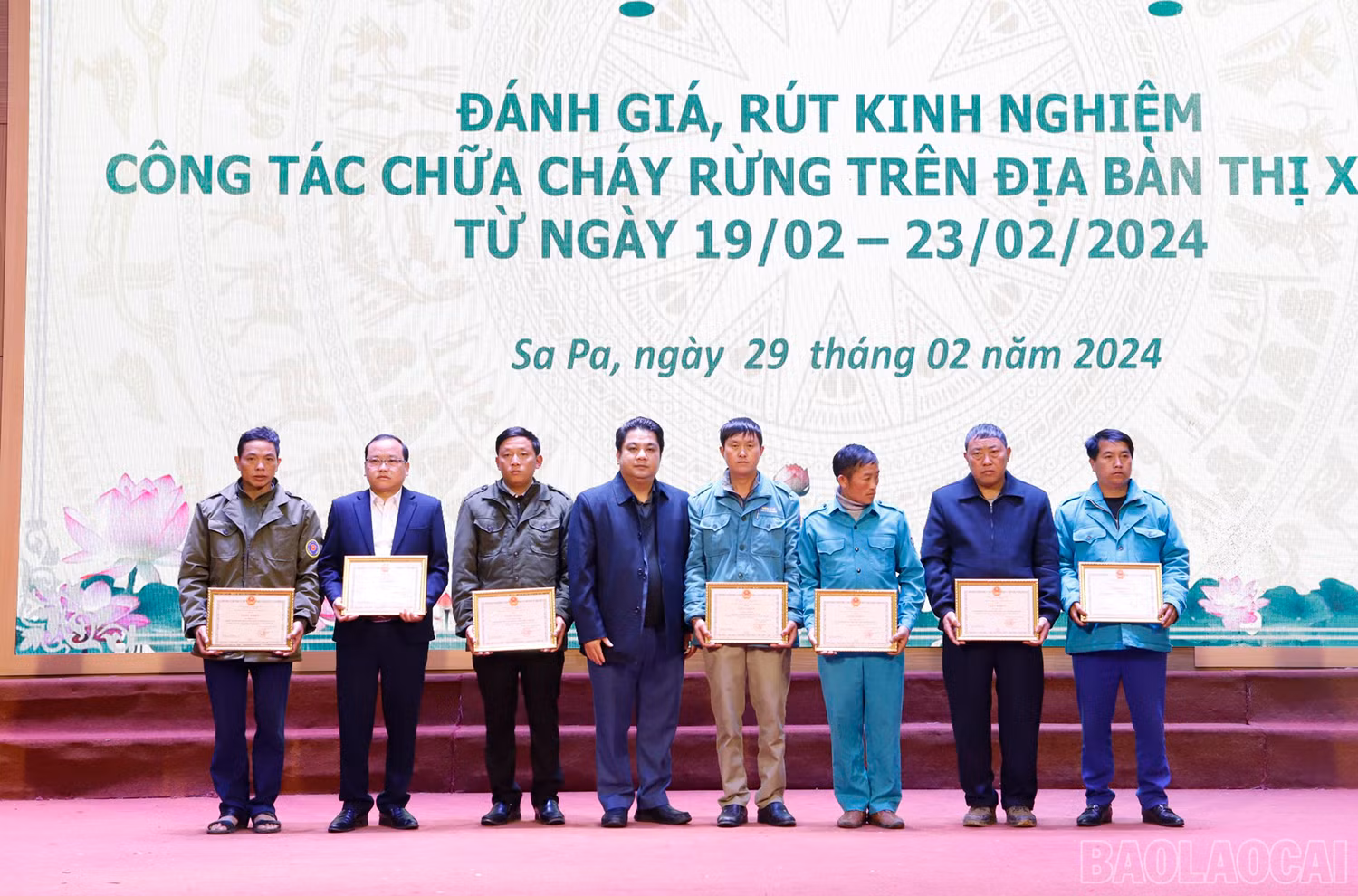 baolaocai_b.jpg