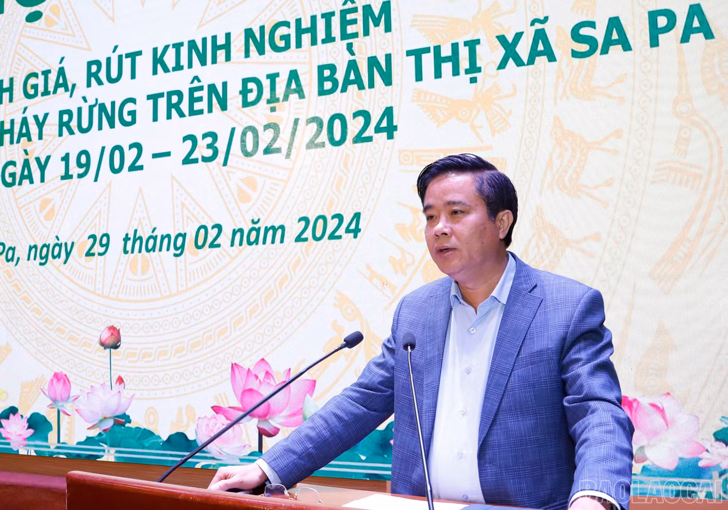 baolaocai_7.jpg