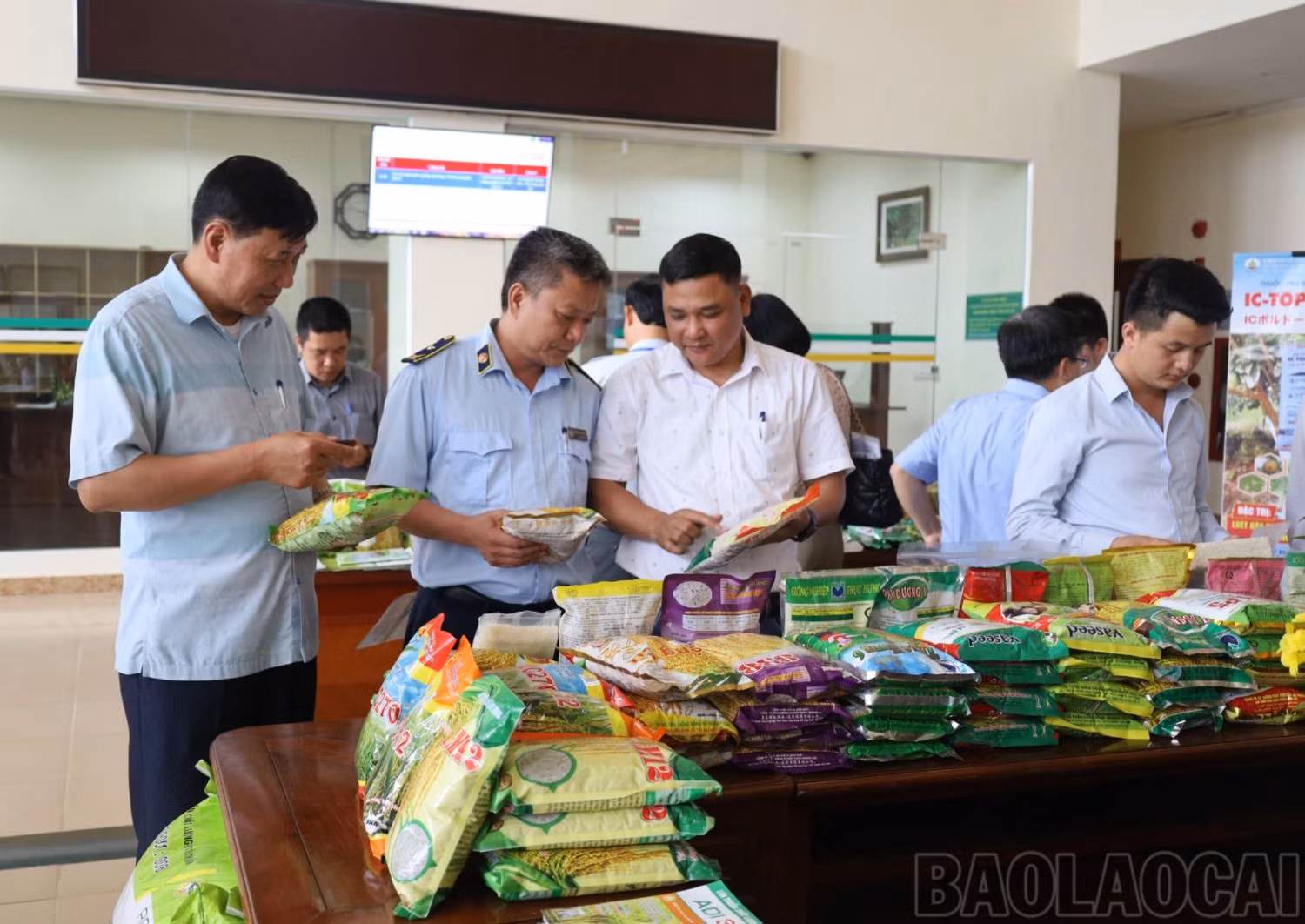 baolaocai.vn_4.jpg