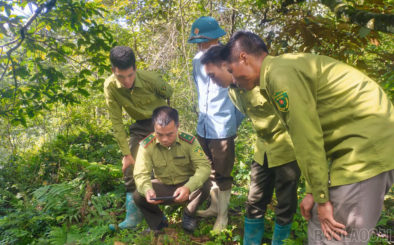 Vừa tuần tra rừng, cán bộ kiểm lâm Khu Bảo tồn thiên nhiên Hoàng Liên - Văn Bàn vừa tranh thủ theo dõi lễ tang Tổng Bí thư trên điện thoại.