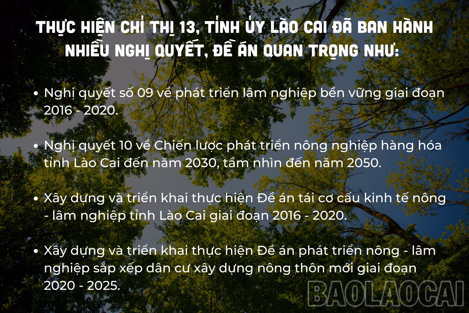 Chỉ thị 13-CTTW Tác động mạnh đến công tác quản lý, bảo vệ và phát triển rừng.png