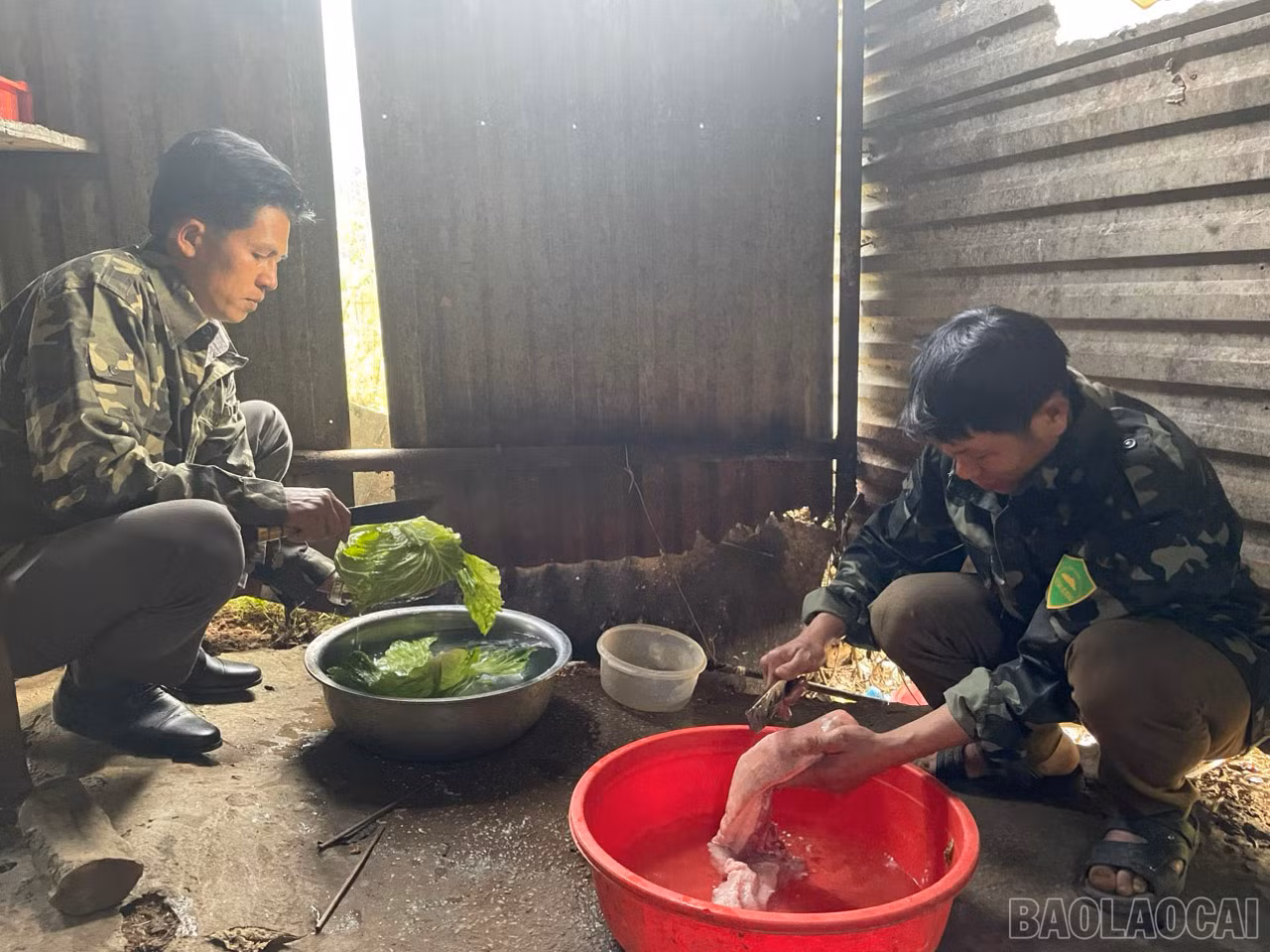 baolaocai_1.jpg