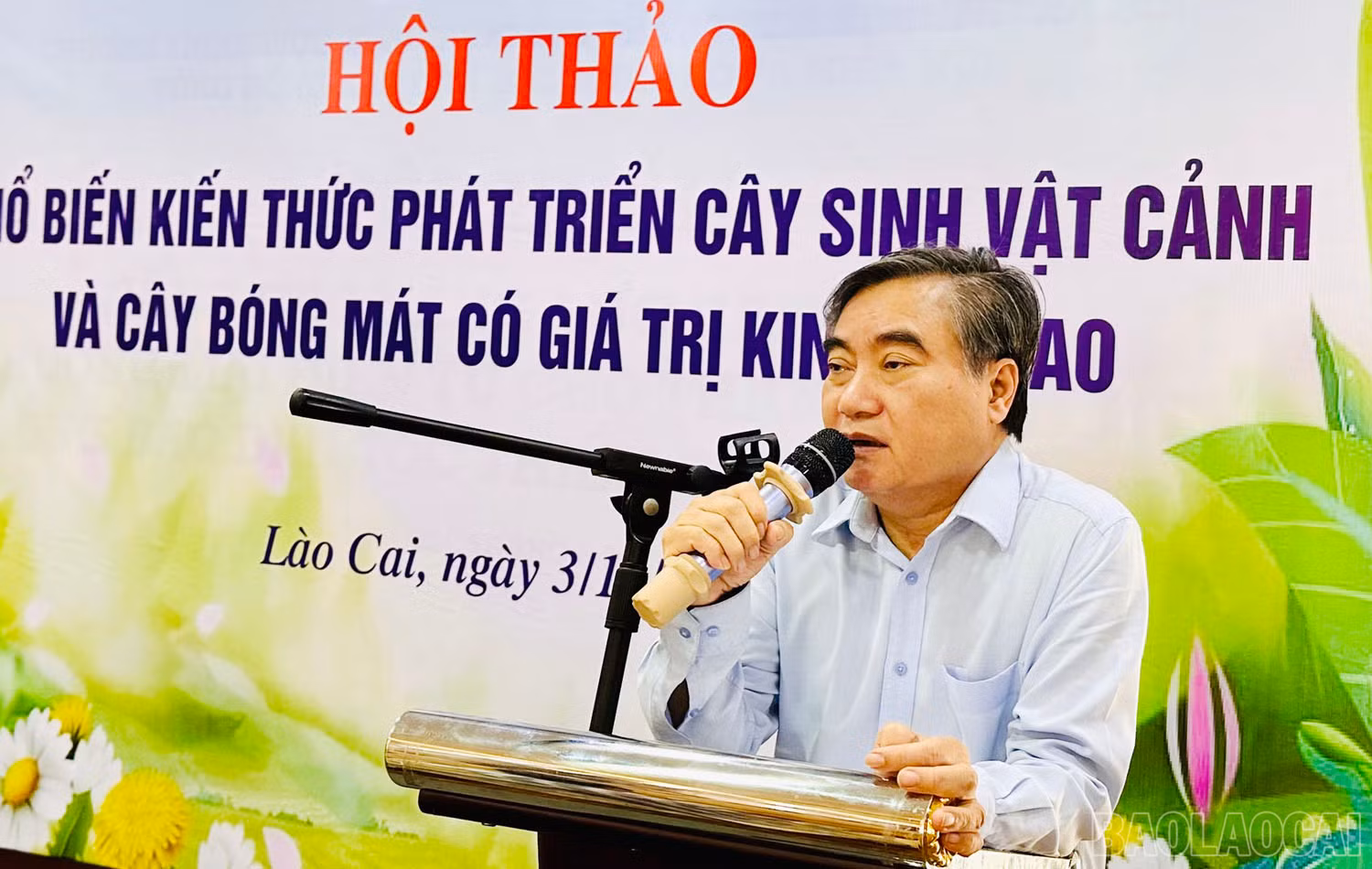 baolaocai_4.jpg