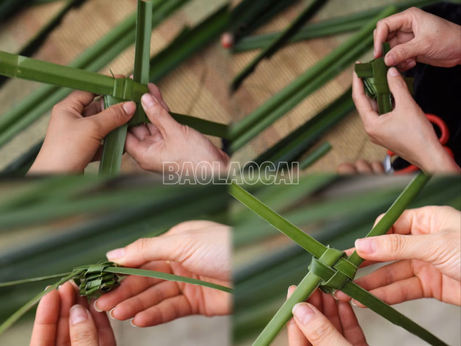 ĐÁNH YẾN (4).jpg