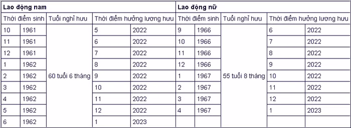 6 chính sách mới về BHXH, tuổi nghỉ hưu năm 2022 ảnh 7