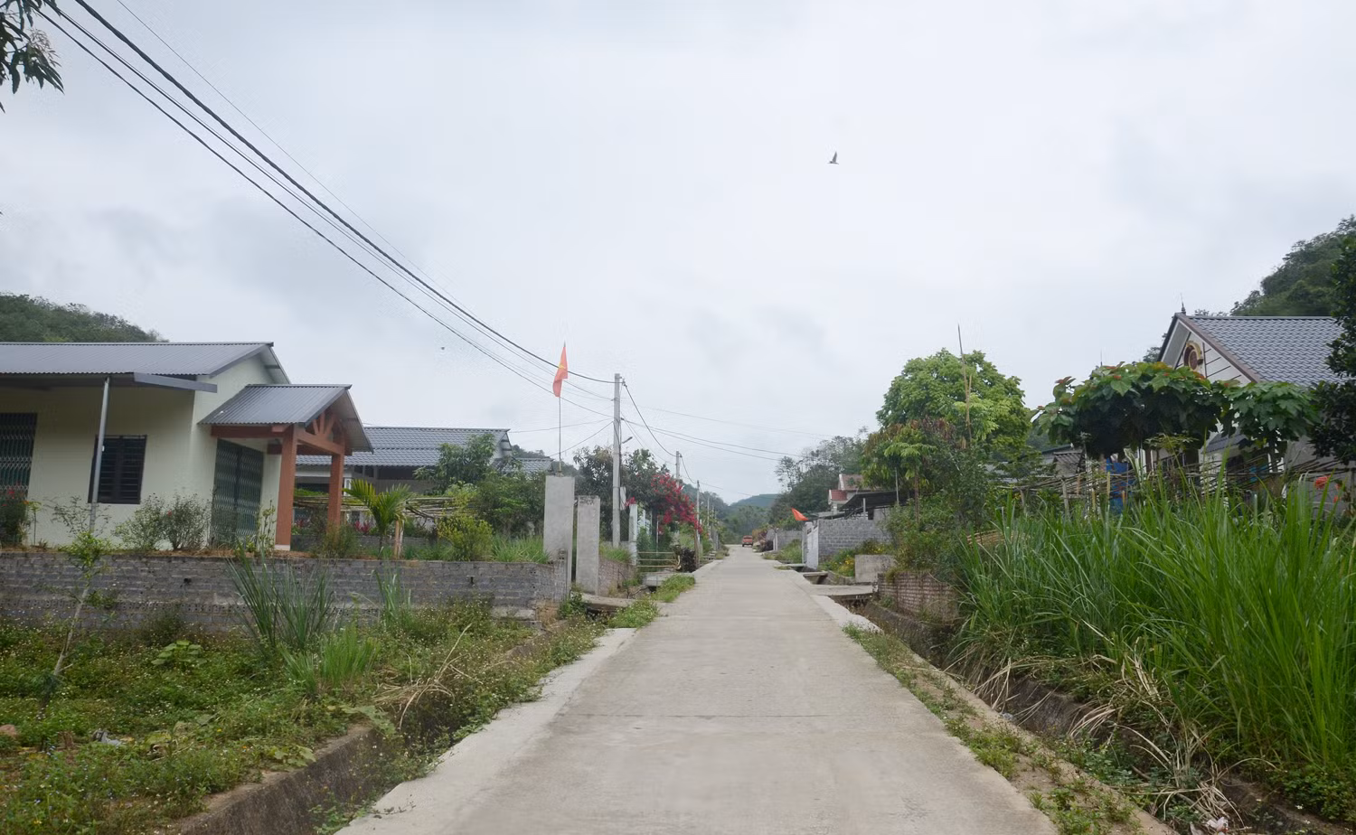 DSC_1964.JPG