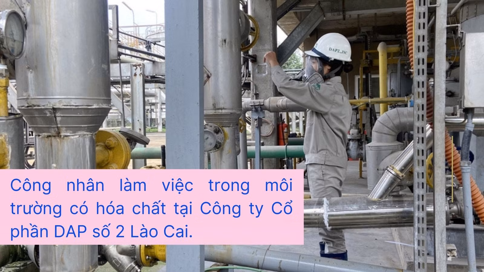 hoa chat.jpg