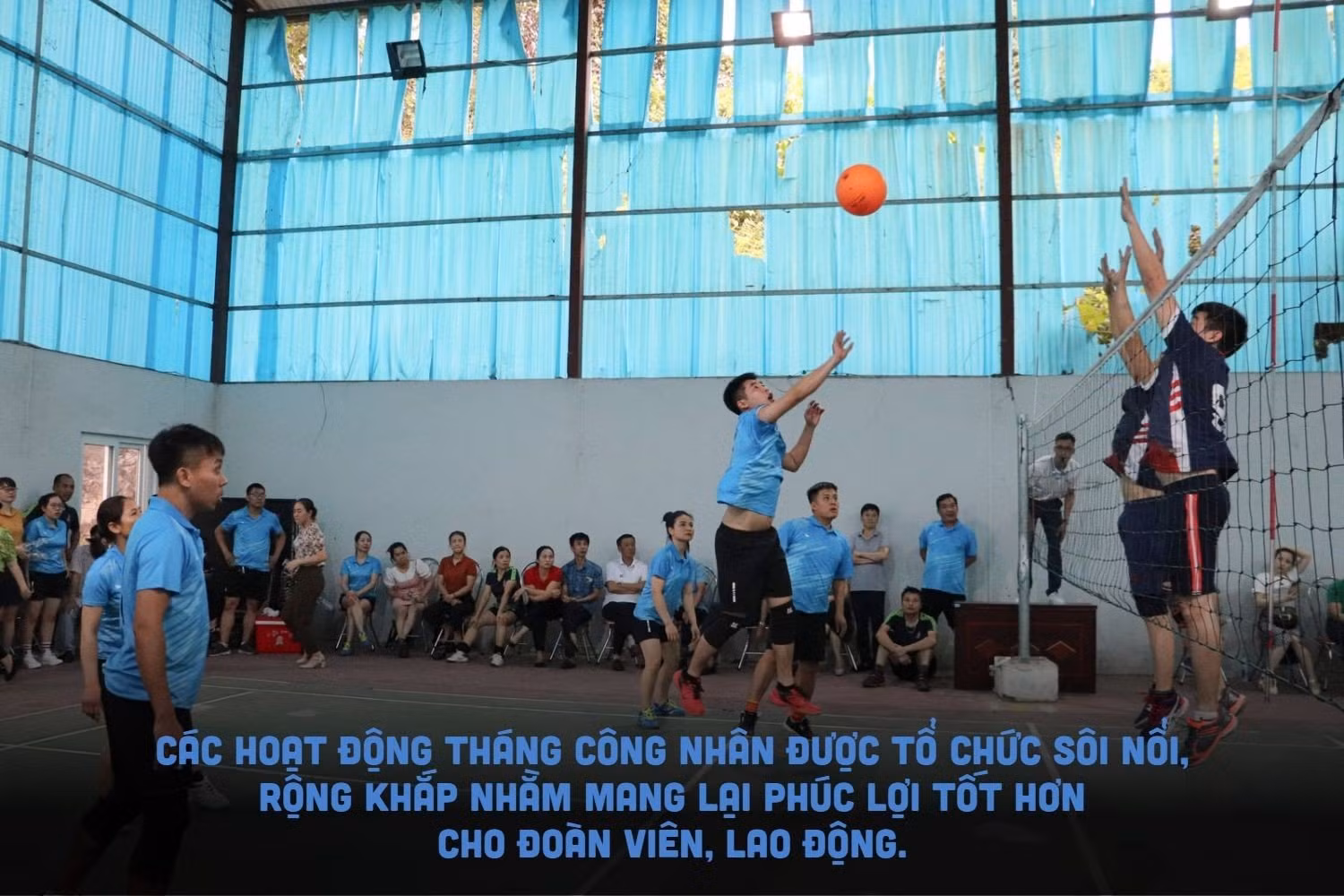 tcn1.jpg