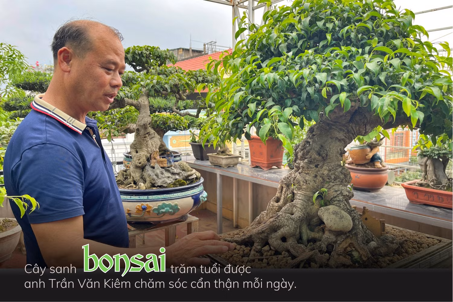 bs (5).png