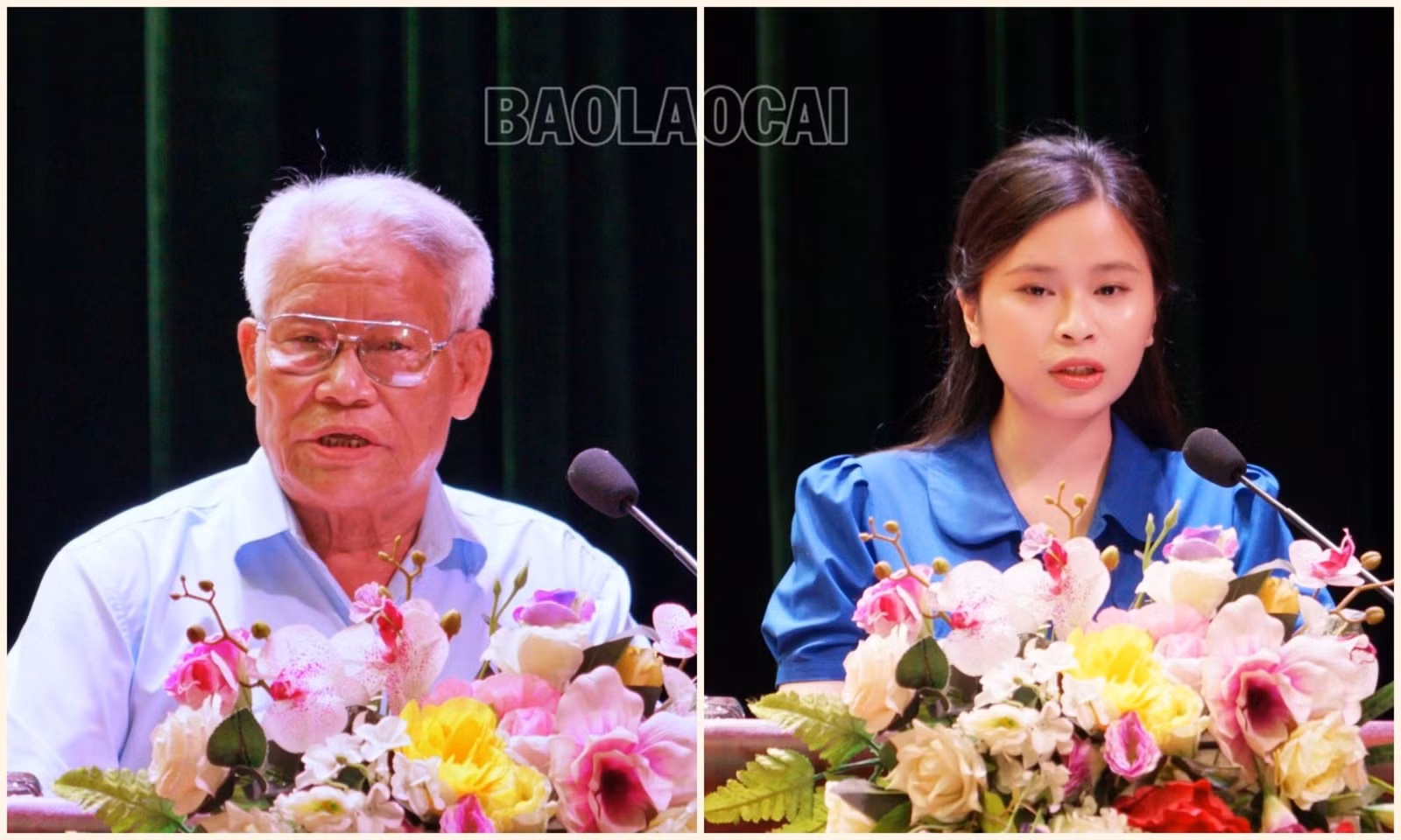 collage.jpg