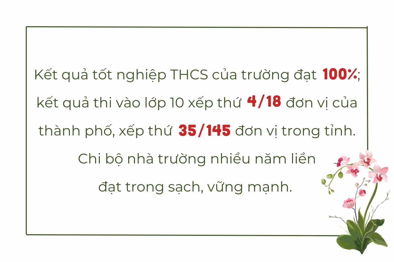 NVS5.jpg
