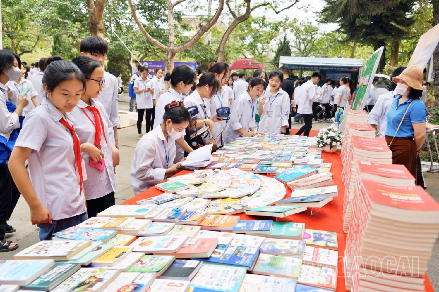 thuong8.jpg