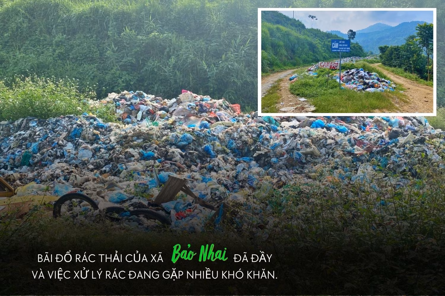 bnhai.jpg