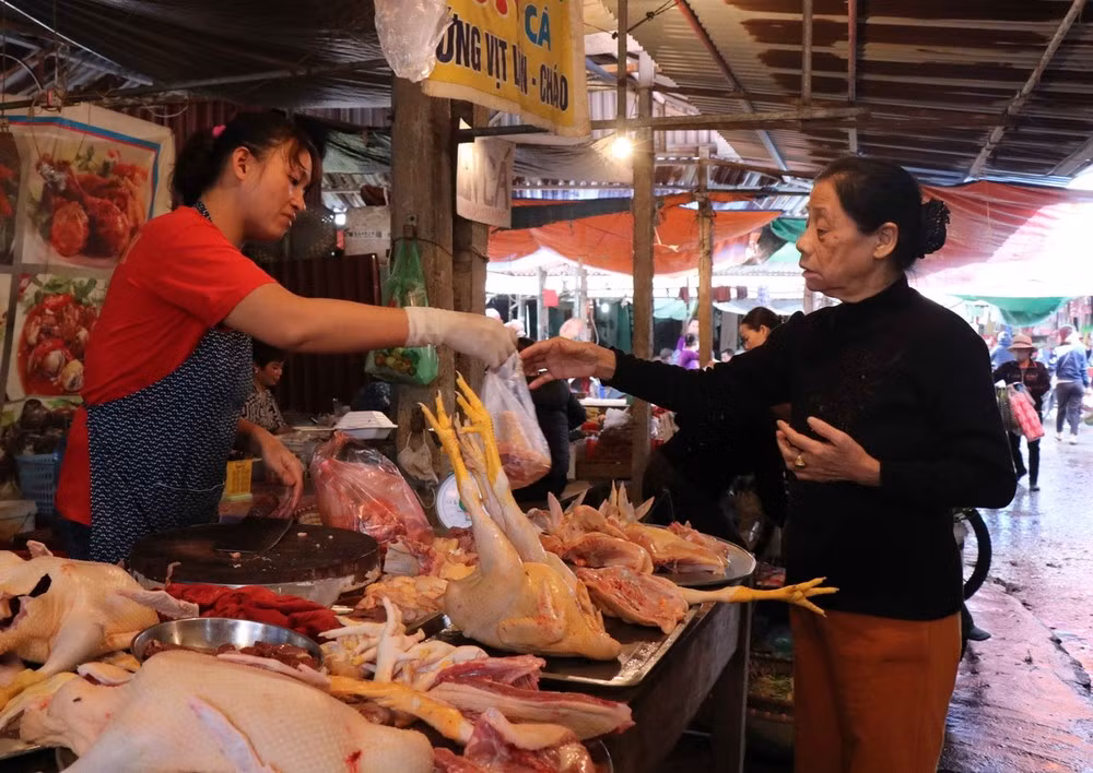 Các công đoạn vận chuyển và giết mổ gia cầm tuyệt đối tuân thủ các biện pháp dự phòng dịch bệnh thường quy.