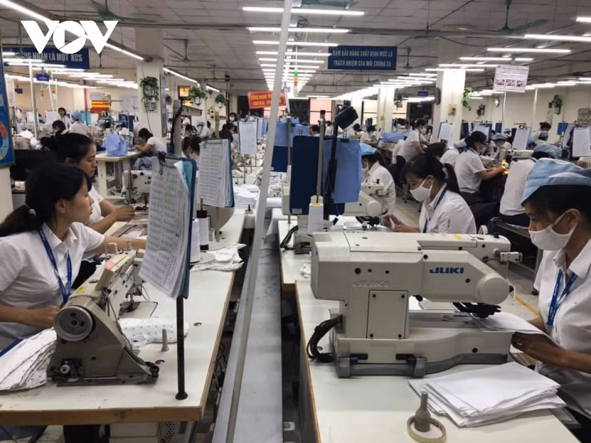 Để xuất khẩu bền vững buộc doanh nghiệp Việt phải chuyển đổi sang phát triển sản xuất xanh.