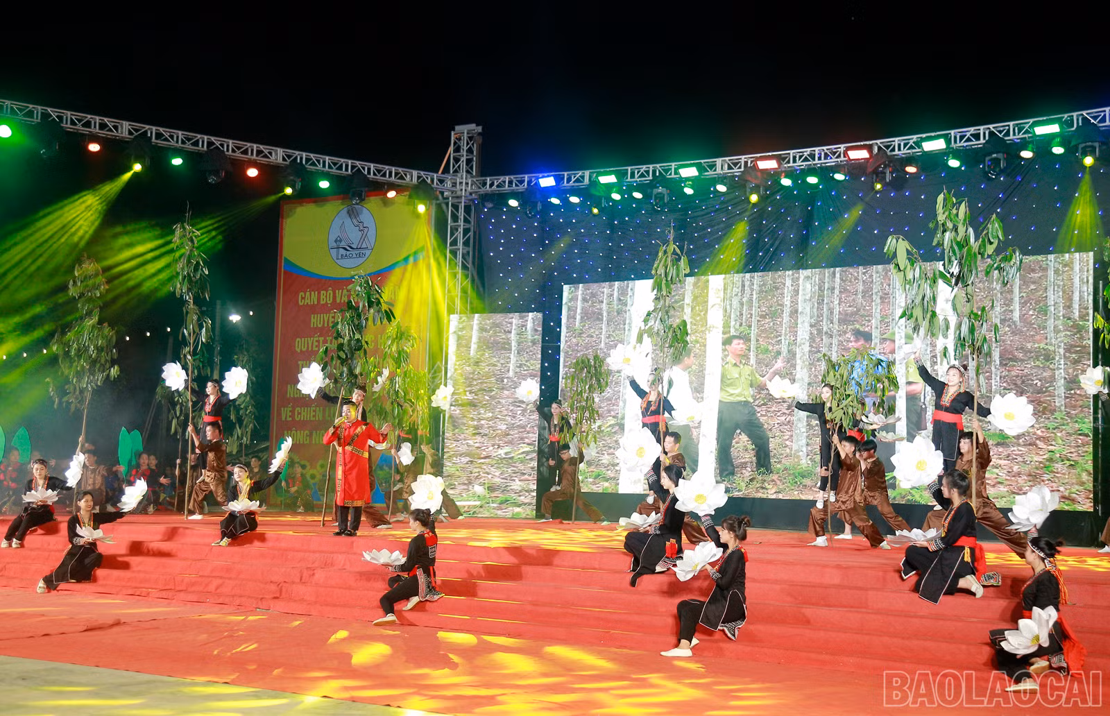 baolaocai_km (4).JPG