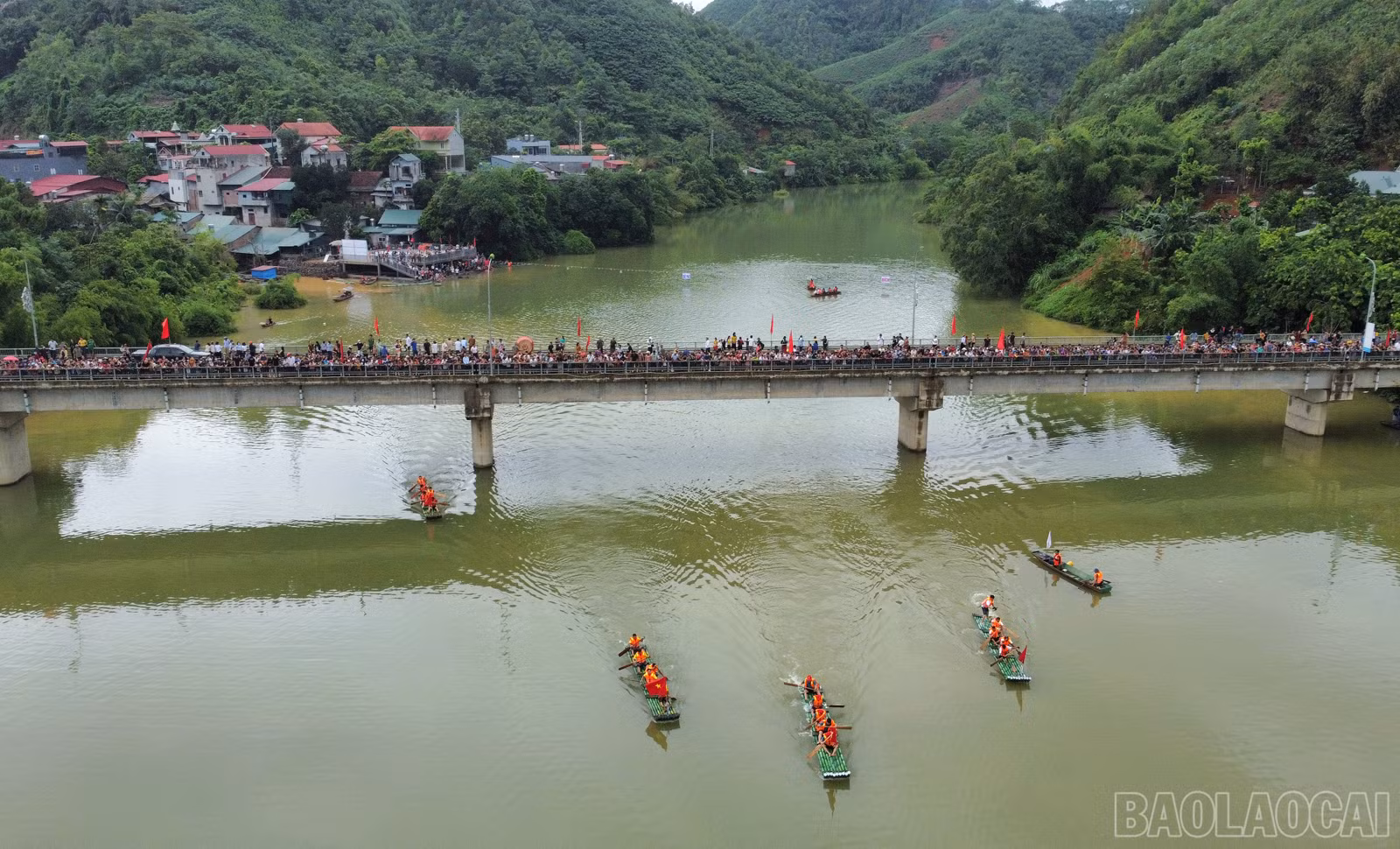 baolaocai_duamang (8).JPG