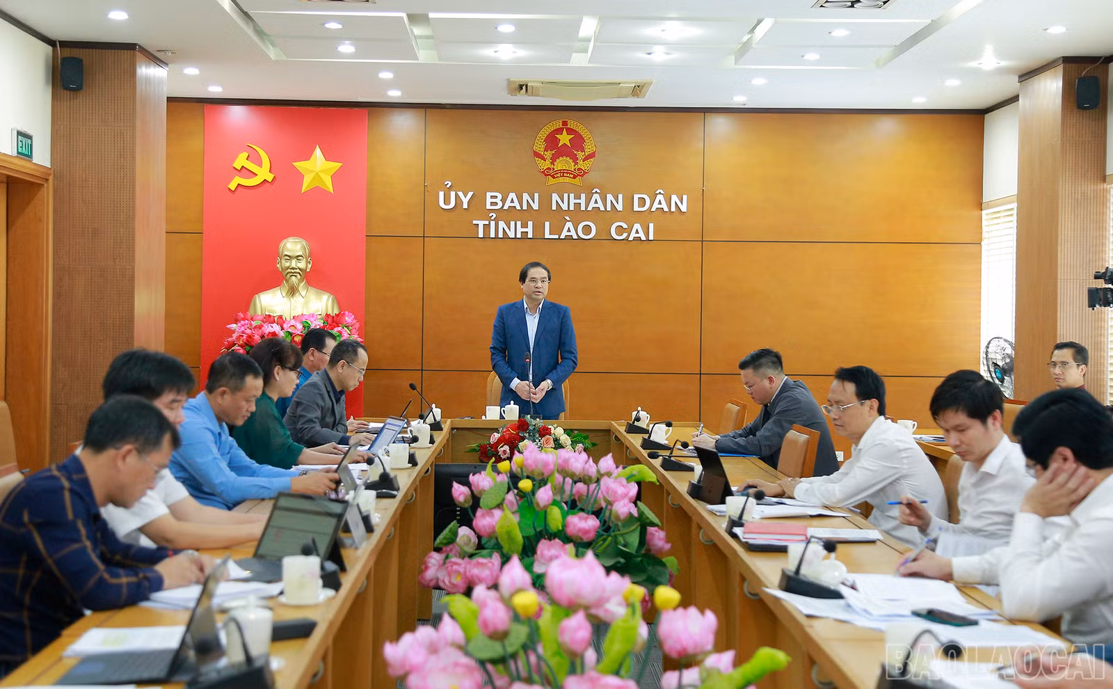 baolaocai_nq (6).JPG