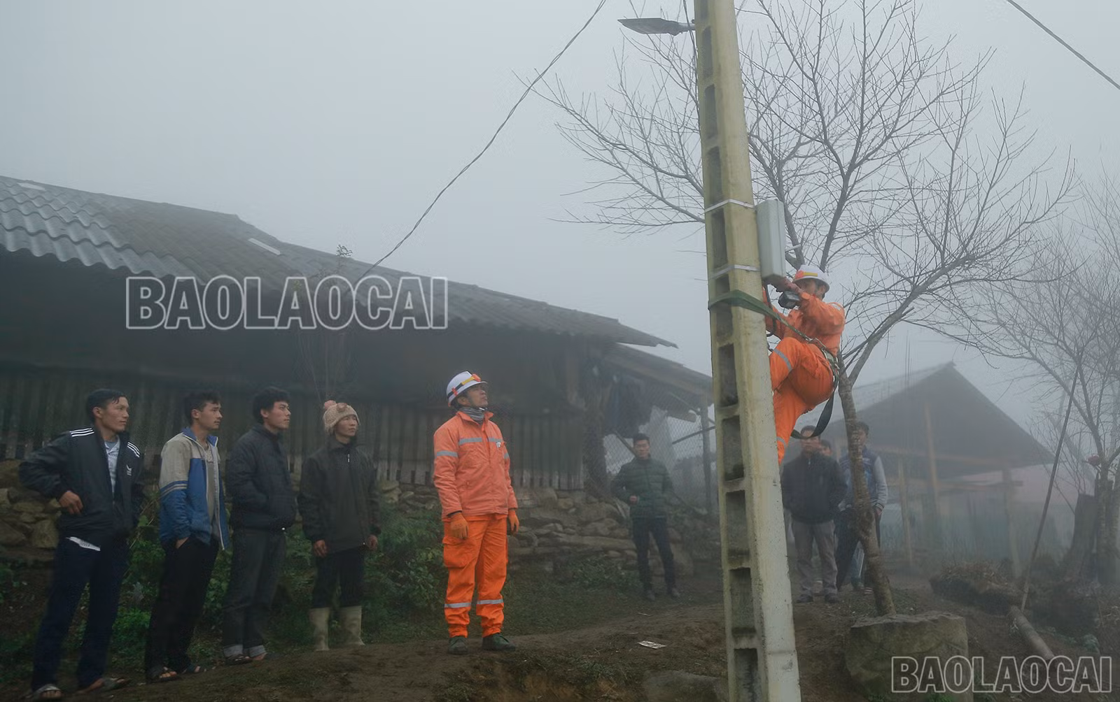 baolaocai-bg-2-5215.jpg