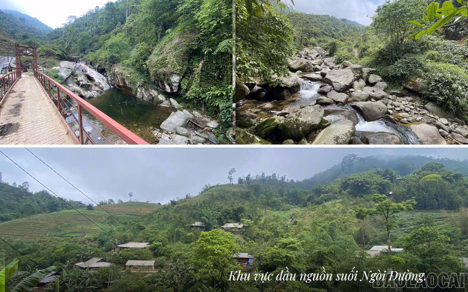 baolaocai_thuydien (5).jpg